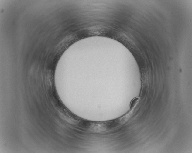 X0000072970174200608111725