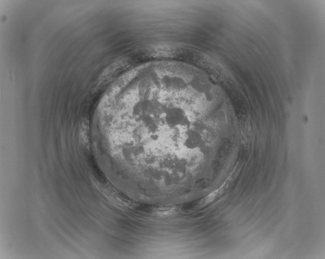 X0000072970175200608111725