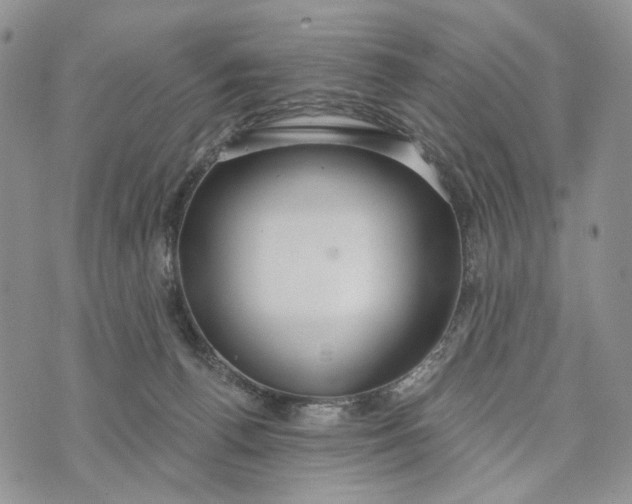 X0000072970176200608111725