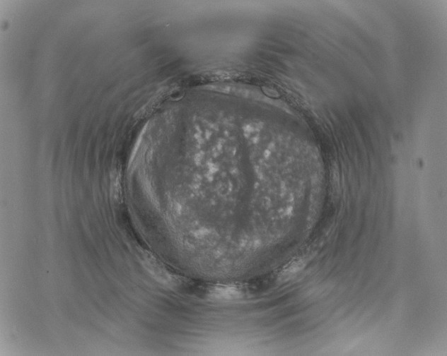 X0000072970177200608111725