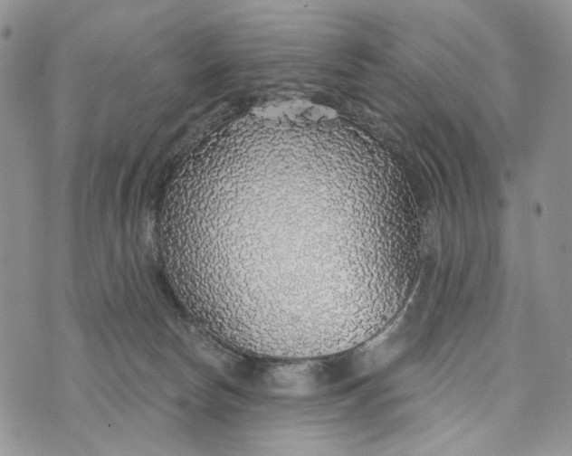 X0000072970178200608111725