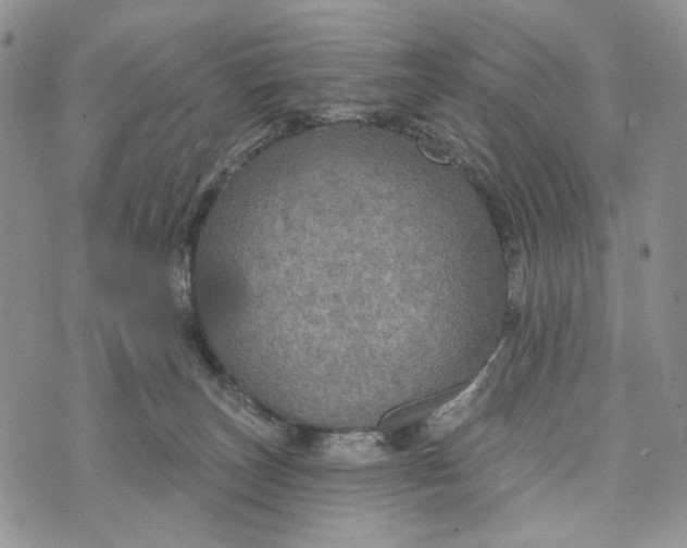 X0000072970179200608111725