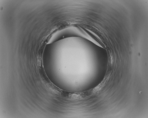 X0000072970180200608111725