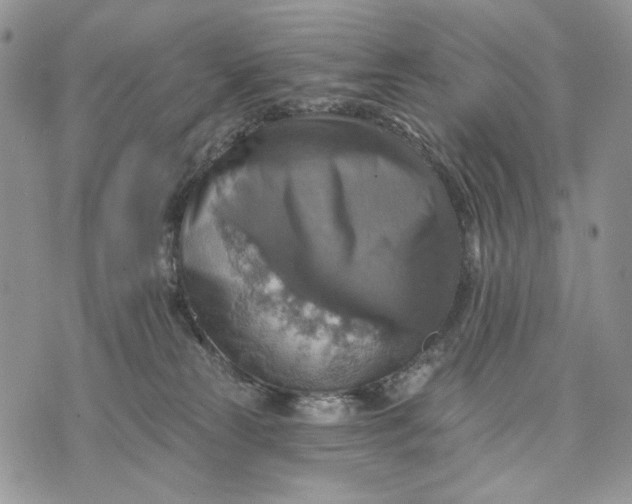 X0000072970181200608111725