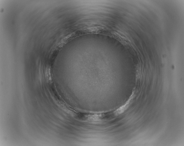 X0000072970182200608111725