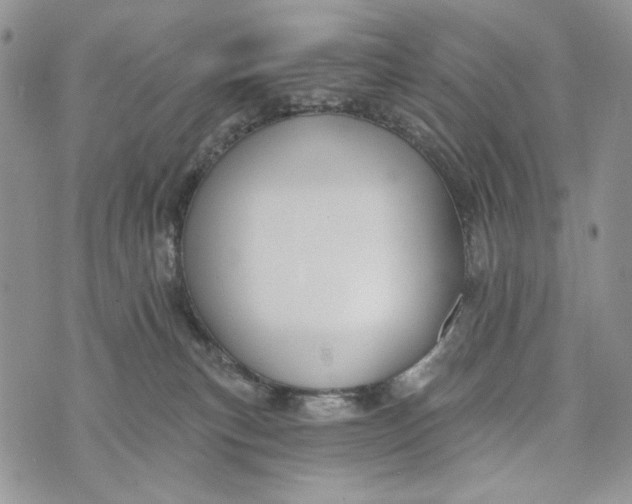 X0000072970183200608111725