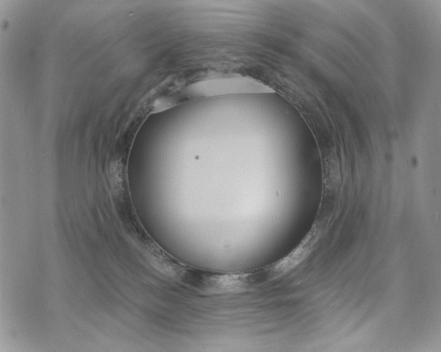 X0000072970184200608111725