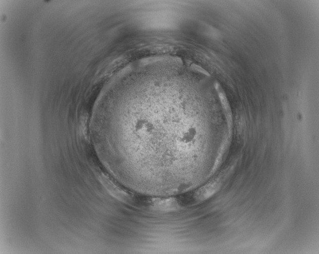 X0000072970185200608111725