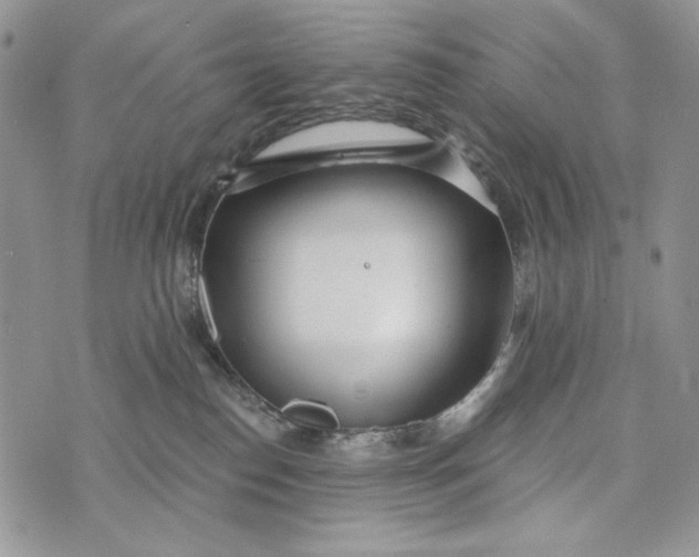 X0000072970186200608111725