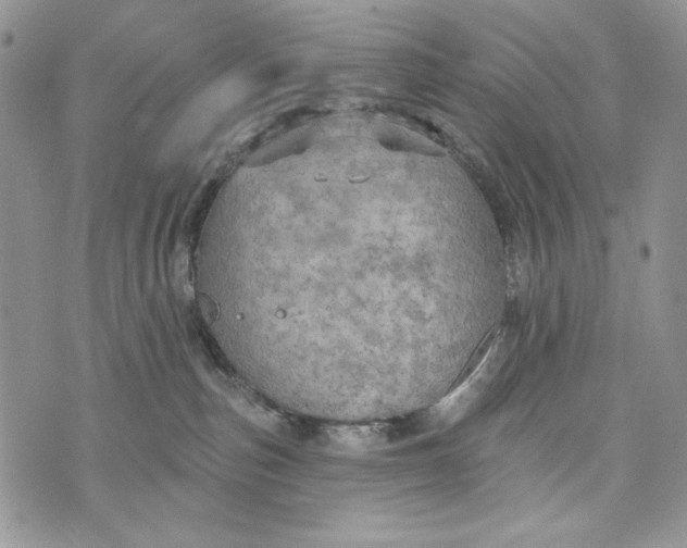 X0000072970187200608111725