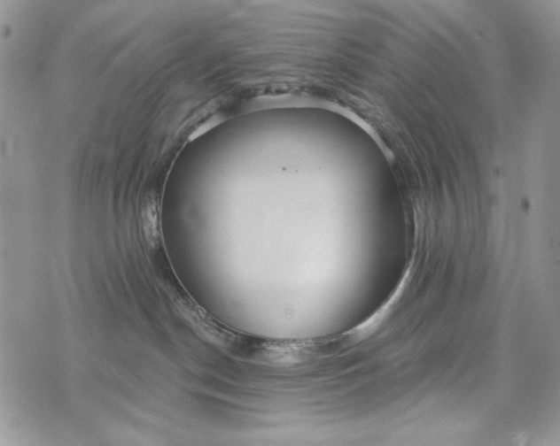 X0000072970190200608111725