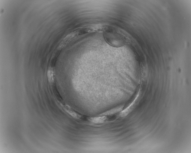 X0000072970191200608111725