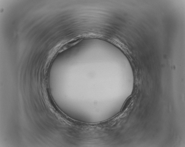 X0000072970193200608111725