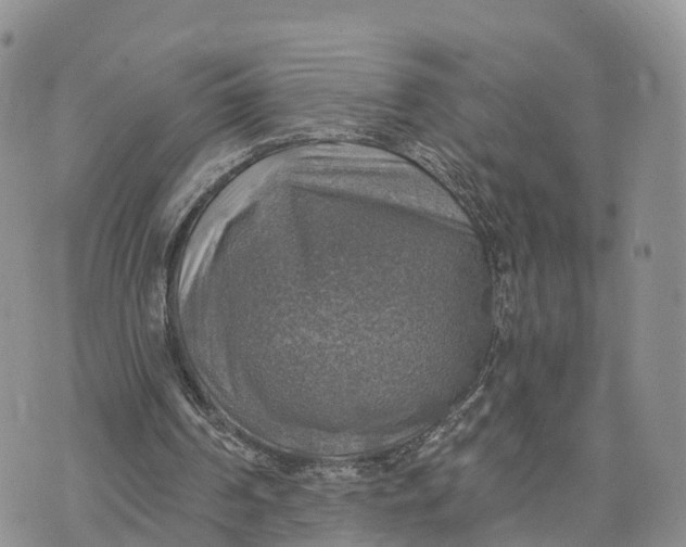 X0000072970194200608111725