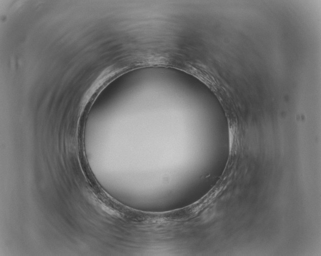 X0000072970195200608111725