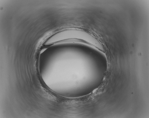 X0000072970197200608111725