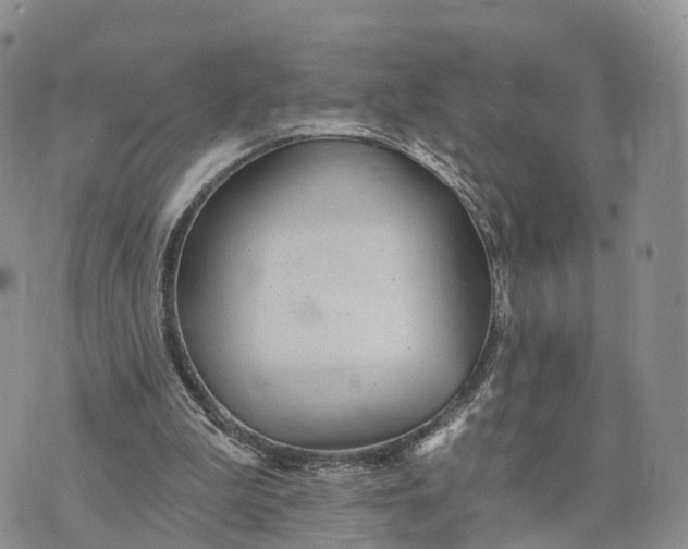 X0000072970199200608111725