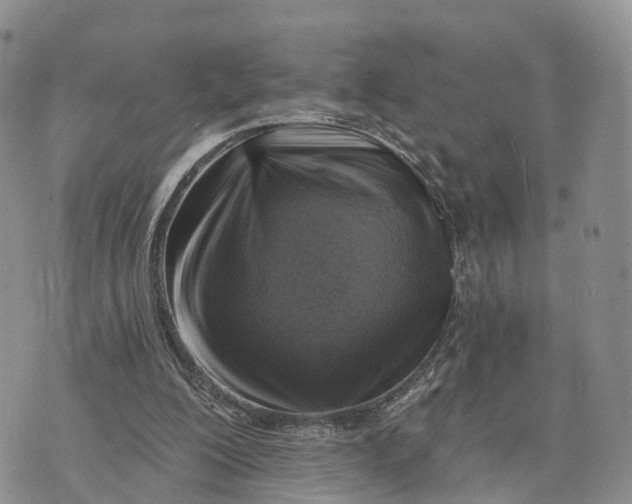 X0000072970200200608111725