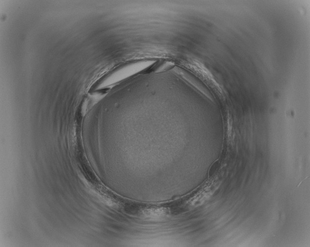 X0000072970202200608111724