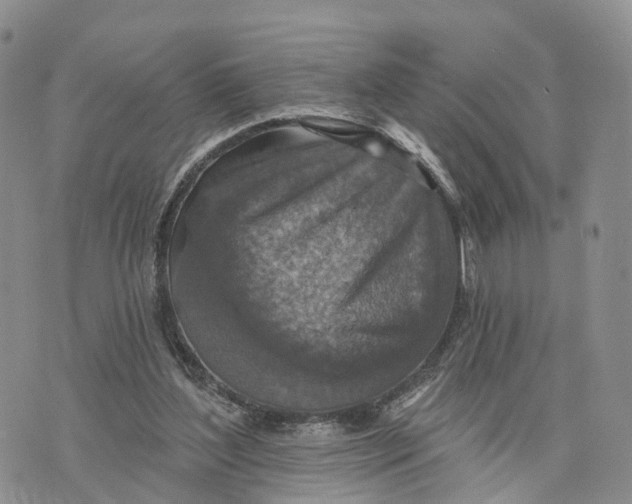 X0000072970204200608111724