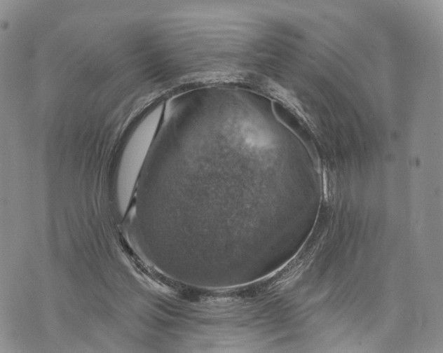 X0000072970205200608111724