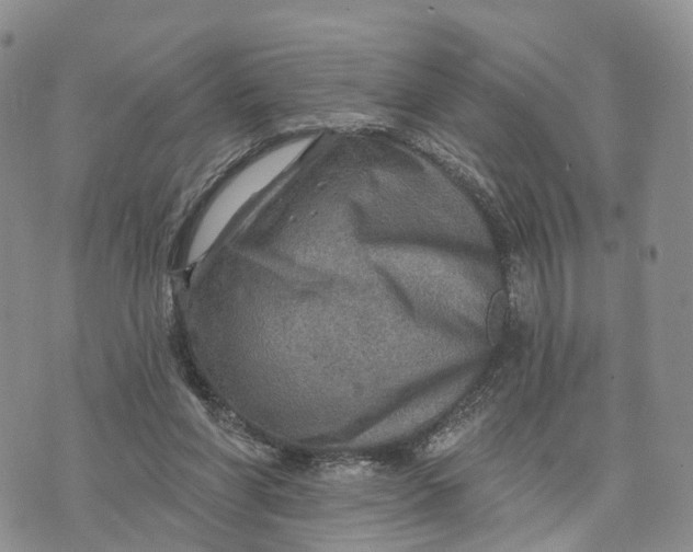 X0000072970206200608111724