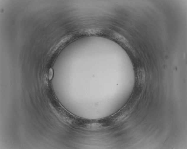 X0000072970212200608111724