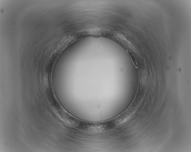 X0000072970213200608111724