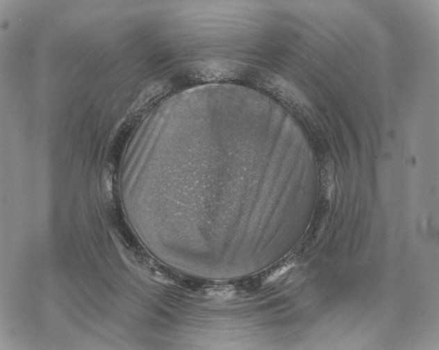 X0000072970214200608111724