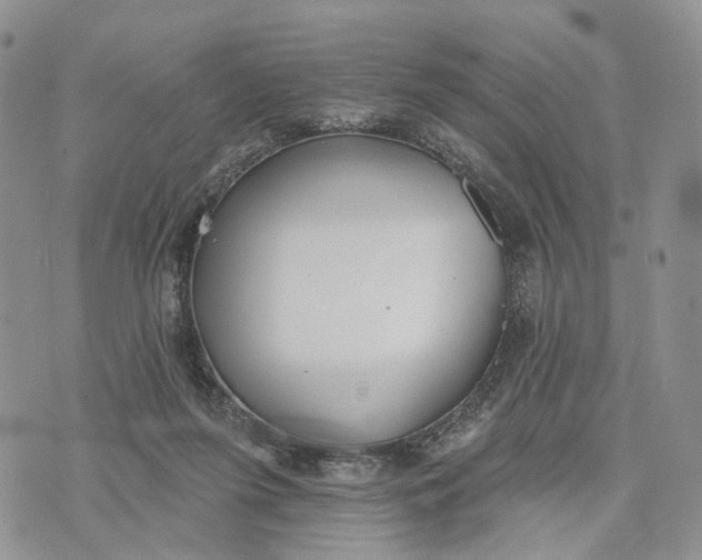 X0000072970215200608111724