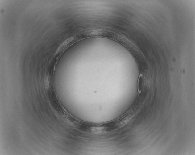 X0000072970216200608111724