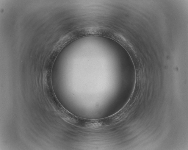 X0000072970217200608111724