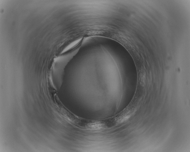 X0000072970219200608111724