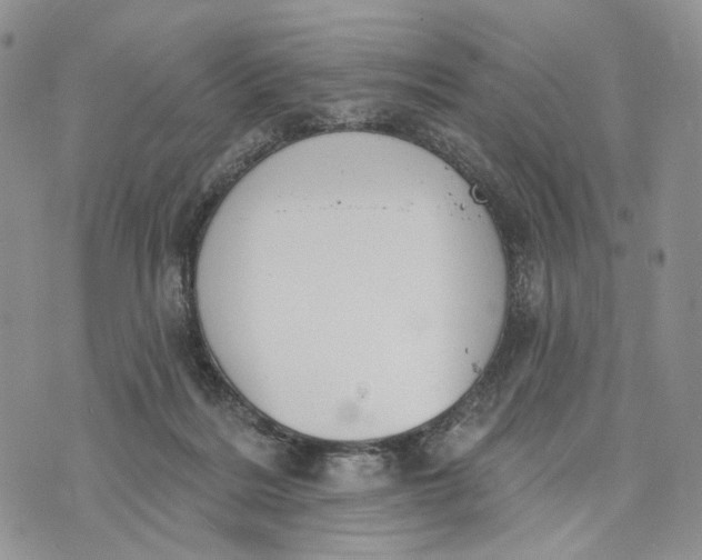 X0000072970220200608111724