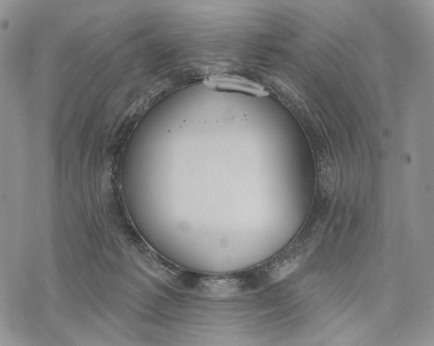 X0000072970221200608111724