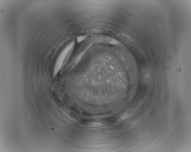 X0000072970224200608111724