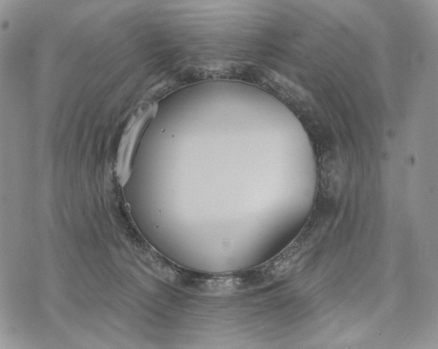 X0000072970225200608111724