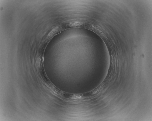 X0000072970227200608111724