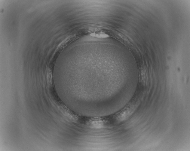 X0000072970228200608111724