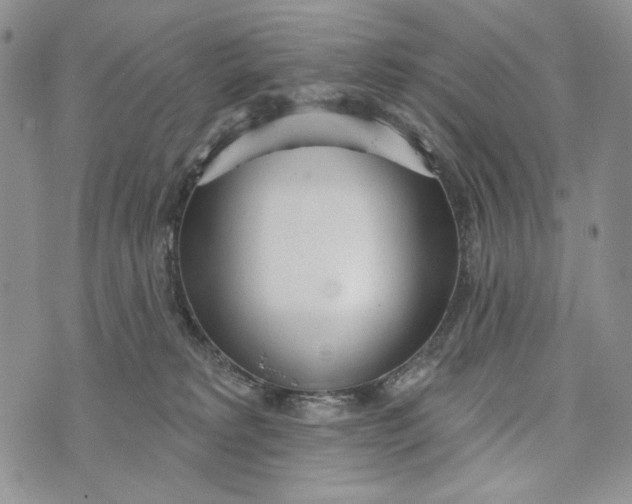 X0000072970229200608111724