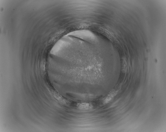 X0000072970230200608111724