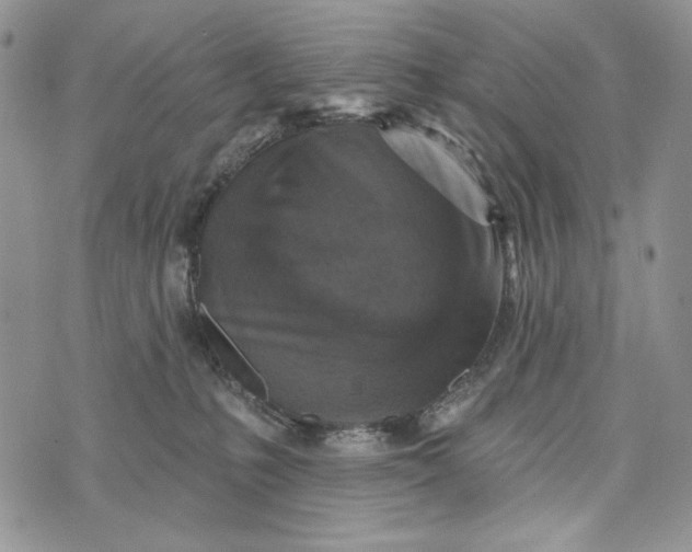 X0000072970231200608111724