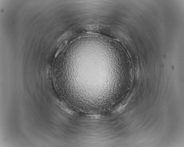 X0000072970233200608111724