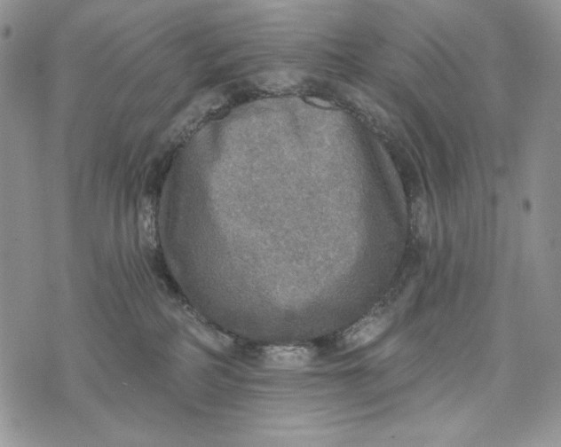 X0000072970234200608111724