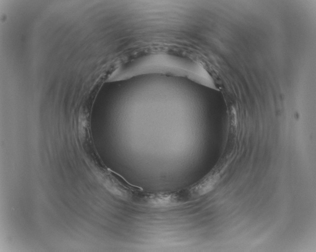 X0000072970235200608111724