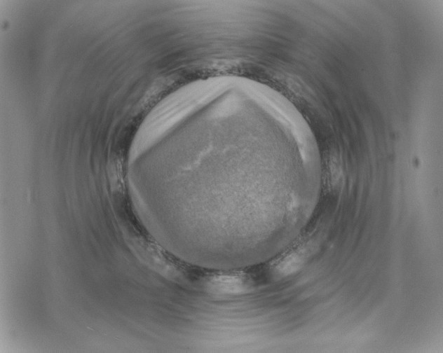 X0000072970236200608111724