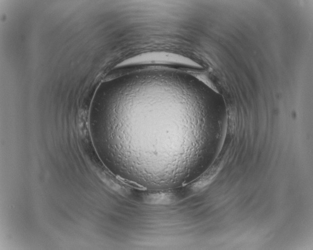 X0000072970237200608111724