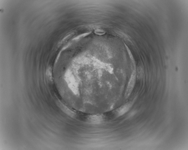 X0000072970238200608111724