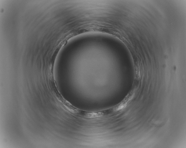 X0000072970239200608111724