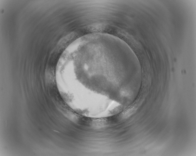 X0000072970240200608111724